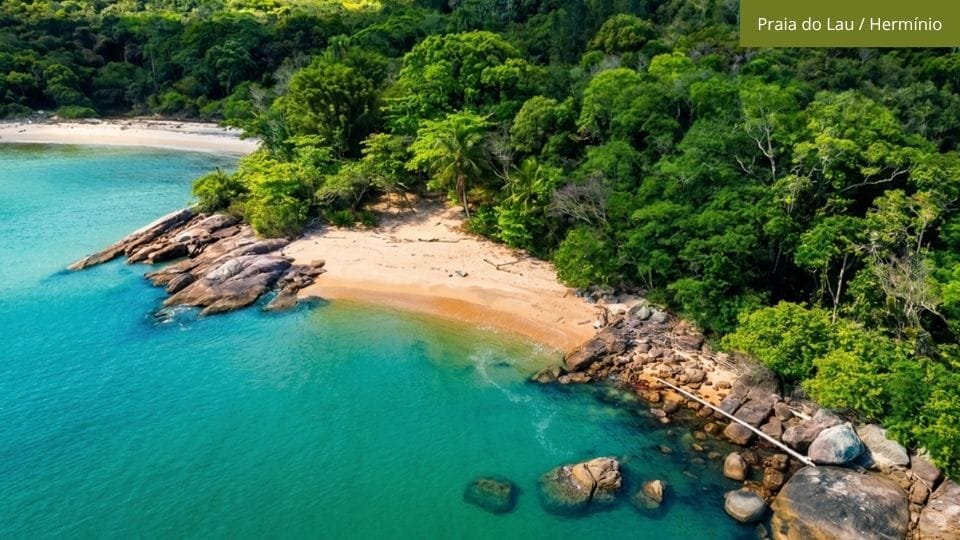 Praia com grande coqueiro deitado na areia voltado para o mar, costão rochoso e água cristalina na Costeira dos Zimbros.