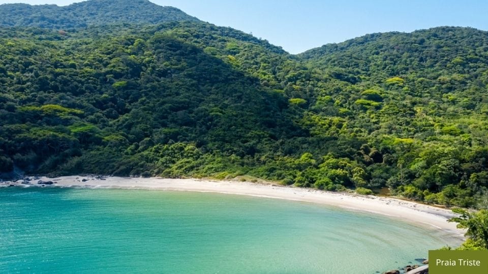Praia com cachoeira pequena, balanço em árvore antiga, areia e rocha, com água doce e salgada na Costeira dos Zimbros.