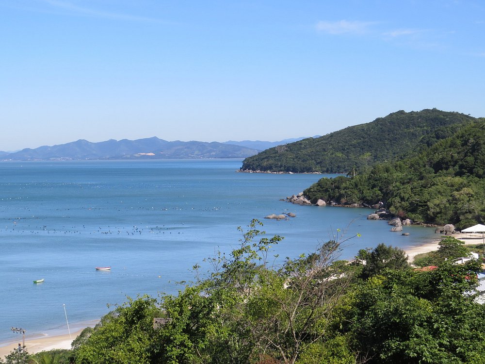 Praia de Zimbros em Bombinhas — o guia completo da praia mais charmosa da cidade